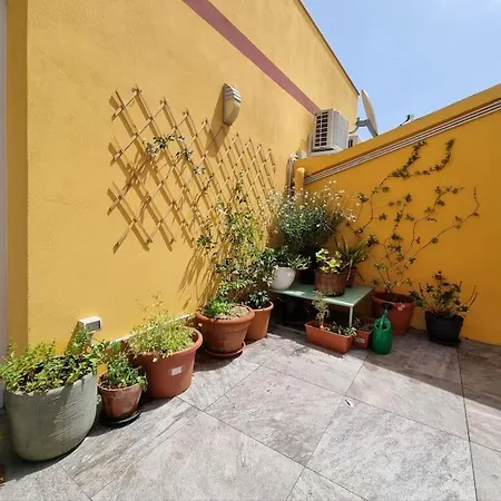 Casa Pares - Rooftop *